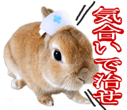 Mr MOQ the Rabbit sticker #14382075