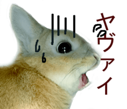 Mr MOQ the Rabbit sticker #14382077