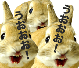 Mr MOQ the Rabbit sticker #14382080