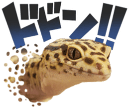 Reptiles! leopard gecko Stickers sticker #14382246