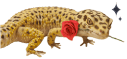 Reptiles! leopard gecko Stickers sticker #14382248