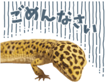 Reptiles! leopard gecko Stickers sticker #14382251