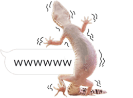 Reptiles! leopard gecko Stickers sticker #14382252
