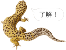 Reptiles! leopard gecko Stickers sticker #14382254