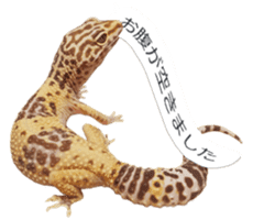 Reptiles! leopard gecko Stickers sticker #14382256