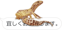 Reptiles! leopard gecko Stickers sticker #14382258