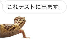 Reptiles! leopard gecko Stickers sticker #14382259