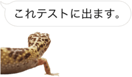 Reptiles! leopard gecko Stickers sticker #14382259