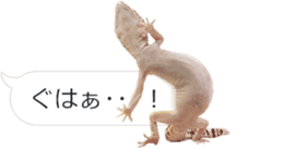 Reptiles! leopard gecko Stickers sticker #14382260