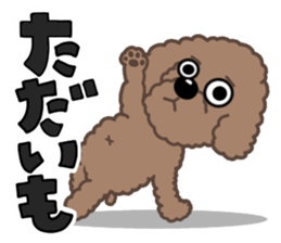 Happy Brown Toy Poodles sticker #14382691