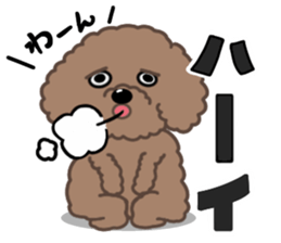 Happy Brown Toy Poodles sticker #14382695