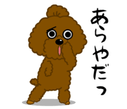 Happy Brown Toy Poodles sticker #14382700