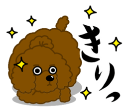 Happy Brown Toy Poodles sticker #14382703