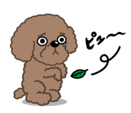 Happy Brown Toy Poodles sticker #14382708