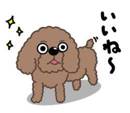 Happy Brown Toy Poodles sticker #14382711