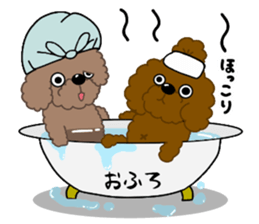 Happy Brown Toy Poodles sticker #14382717
