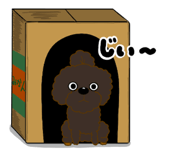 Happy Brown Toy Poodles sticker #14382720