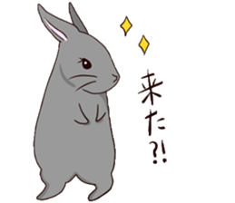 MOKOMOKOMonakanoUsagiseikatsu sticker #14385071