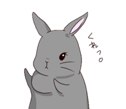 MOKOMOKOMonakanoUsagiseikatsu sticker #14385075