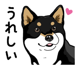 Daily Black Shiba Inu 4 sticker #14385278