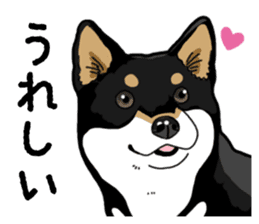 Daily Black Shiba Inu 4 sticker #14385278