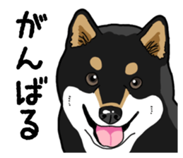 Daily Black Shiba Inu 4 sticker #14385280