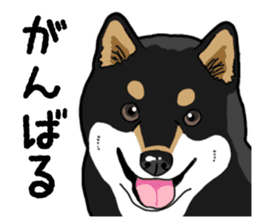 Daily Black Shiba Inu 4 sticker #14385280