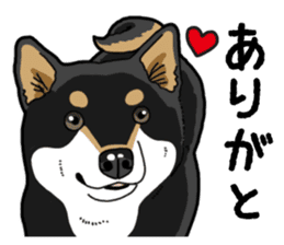 Daily Black Shiba Inu 4 sticker #14385281