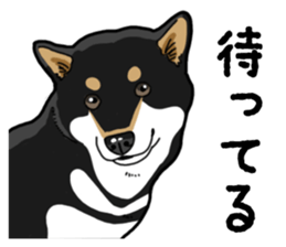 Daily Black Shiba Inu 4 sticker #14385282