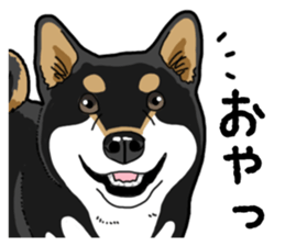 Daily Black Shiba Inu 4 sticker #14385283