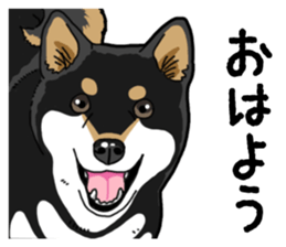 Daily Black Shiba Inu 4 sticker #14385284