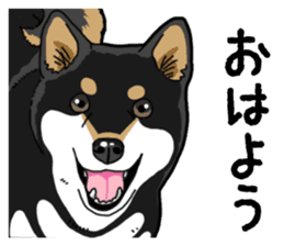 Daily Black Shiba Inu 4 sticker #14385284