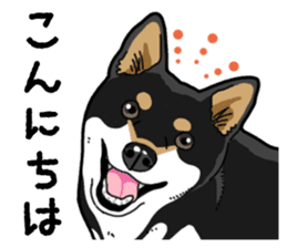 Daily Black Shiba Inu 4 sticker #14385285