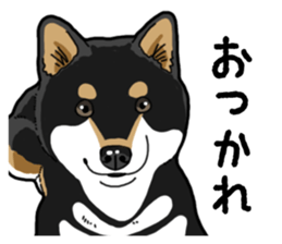 Daily Black Shiba Inu 4 sticker #14385286