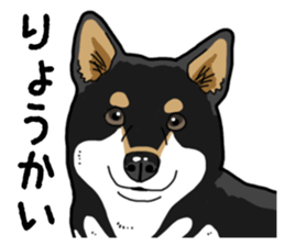Daily Black Shiba Inu 4 sticker #14385288