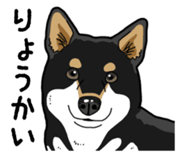 Daily Black Shiba Inu 4 sticker #14385288