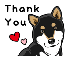 Daily Black Shiba Inu 4 sticker #14385289