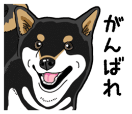 Daily Black Shiba Inu 4 sticker #14385290