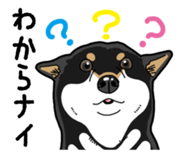 Daily Black Shiba Inu 4 sticker #14385291