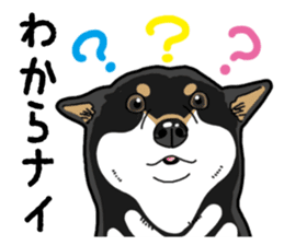 Daily Black Shiba Inu 4 sticker #14385291
