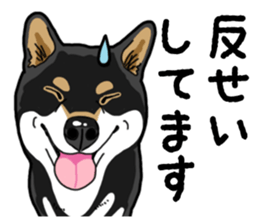 Daily Black Shiba Inu 4 sticker #14385292