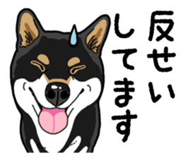 Daily Black Shiba Inu 4 sticker #14385292