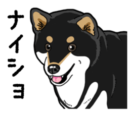 Daily Black Shiba Inu 4 sticker #14385293