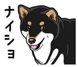 Daily Black Shiba Inu 4 sticker #14385293