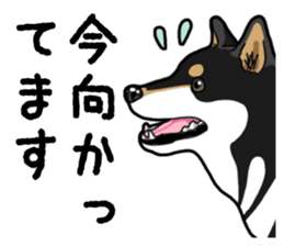 Daily Black Shiba Inu 4 sticker #14385297