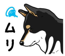 Daily Black Shiba Inu 4 sticker #14385300