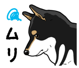 Daily Black Shiba Inu 4 sticker #14385300