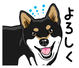 Daily Black Shiba Inu 4 sticker #14385304