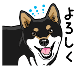 Daily Black Shiba Inu 4 sticker #14385304