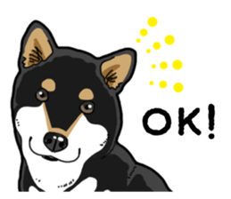 Daily Black Shiba Inu 4 sticker #14385306